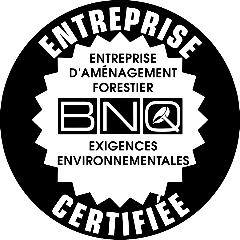 Logo BNQ