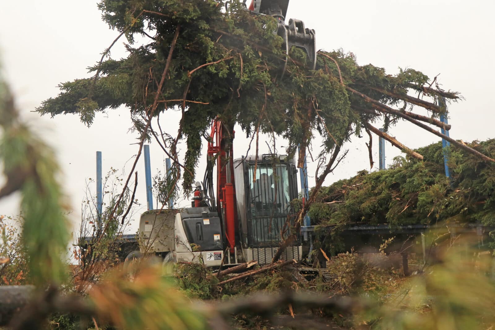 Opérateur en forêt