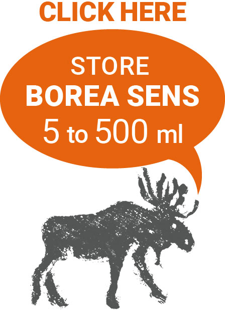 Boutique BoreA Sens