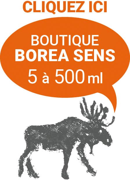 Boutique BoreA Sens